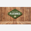 Bar des Platanes